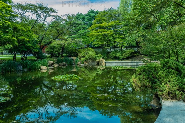Peaceful landscape of a pond with reflections of green trees and bushes, in South Korea