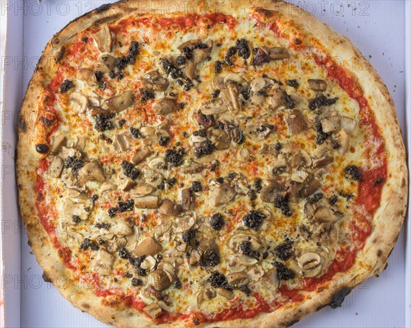 Mushroom truffle pizza with a thin, chewy crust, rich truffle cream sauce, earthy wild mushrooms, and a sprinkle of fragrant truffle oil, pizza