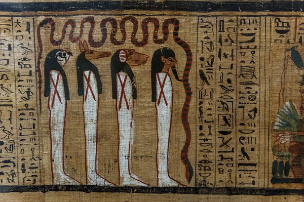 Hieroglyphs on papyrus, message, drawing, Egyptian, kingdom, antiquity, world history, history, tradition, culture, cultural history, stone, sign, language, colourful, queen, sculpture, tomb, Cairo, Egypt, Africa