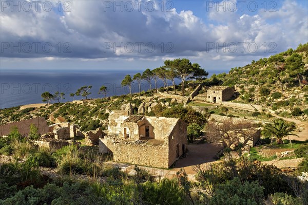 Stone houses nestled among pine trees with a sea view in a tranquil Mediterranean setting, Hiking tour in Tramuntana Mountains, Mallorca