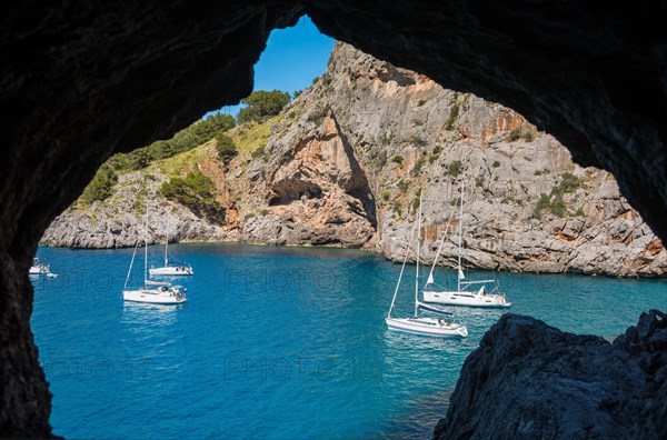 Sailing boats, yachts are anchored in front of the Torrent de Pareis gorge, turquoise-blue, calm sea, sunny day with cloudless blue sky, rock face with pine trees (Pinus) and Mediterranean vegetation in the background, photographed from a rock opening of the pedestrian tunnel, Serra de Tramuntana, Mediterranean Sea, Majorca Island, Spain, Europe