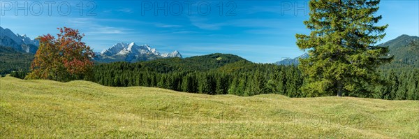 Humpback meadows between Mittenwald and Kruen, Werdenfelser Land, behind it the Zugspitze, 2962m, Wetterstein Mountains, Upper Bavaria, Bavaria