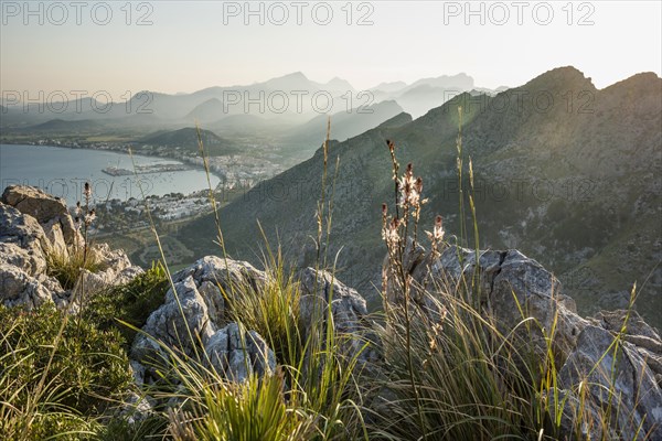 Bay and mountains, Port de Pollenca, Serra de Tramuntana, Majorca, Balearic Islands, Spain, Europe