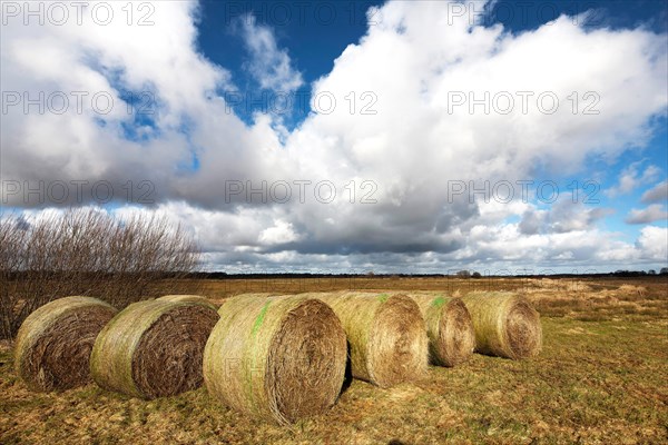 Flumm-Niederung, straw bales, cloud formations, landscape conservation area, Grossefehn, East Frisia, Germany, Europe