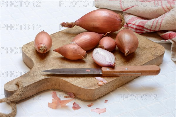 Shallots on wooden board with knife, Allium cepa