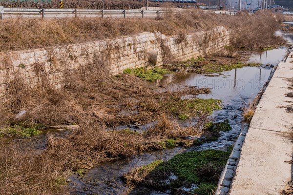 A neglected urban stream with stagnant water, surrounded by dry vegetation and concrete, in South Korea
