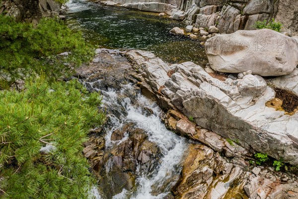 A small waterfall cascades over rugged rocks amid pine trees, in South Korea