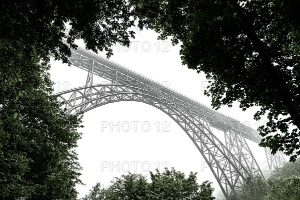 A bridge rises above trees shrouded in mist in an atmospheric black and white photograph, Muengsten Bridge, Solingen, Bergisches Land, North Rhine-Westphalia