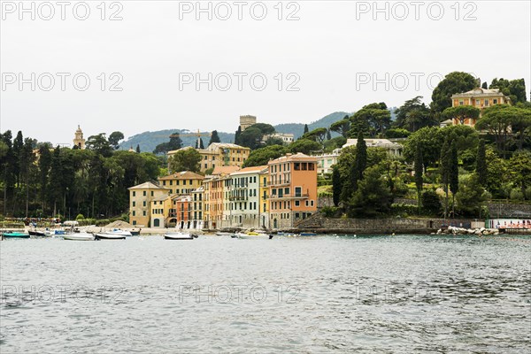 Village with colourful houses by the sea, San Michele di Pagana, Rapallo, Italian Riviera, Liguria, Italy, Europe