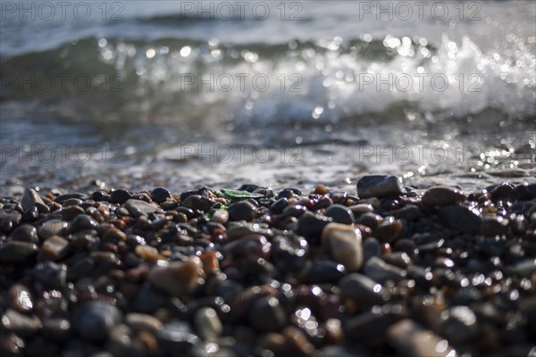 Stone beach, Shard of glass, Beach, Coast, Baltic Sea, Retin, Germany, Europe
