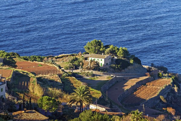 Coastal landscape with a house and terraced fields overlooking the blue sea, Hiking tour from Estellences to Banyalbufar, Mallorca