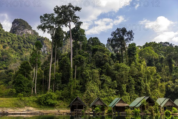 Floating huts of the inhabitants in Khao Sok National Park, forest, jungle, trekking, nature, travel, active holiday, holiday, outdoor, hiking, hiking trail, nature reserve, Thailand, Asia