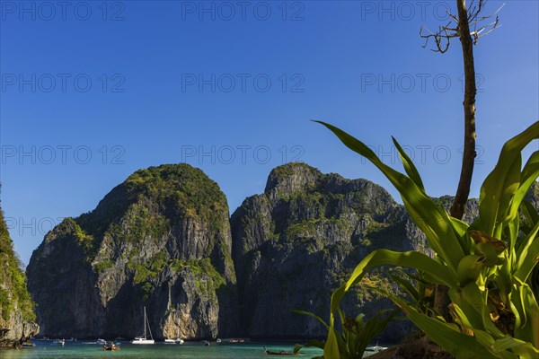 Maya Bay on Ko Phi Phi Don, beach, holiday, beach holiday, holiday paradise, paradise, tourism, dream beach, sea, bay, beach holiday, coast, tropical, tropics, idyllic, island, mountains, limestone, limestone rocks, boat, sailing, sailing boat, beach landscape, landscape, nature, Ko Phi Phi, Thailand, Asia