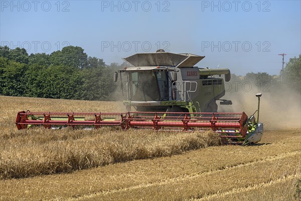 Combine harvester on a barleys (Hordeum vulgare), Mecklenburg-Vorpommern, Germany, Europe