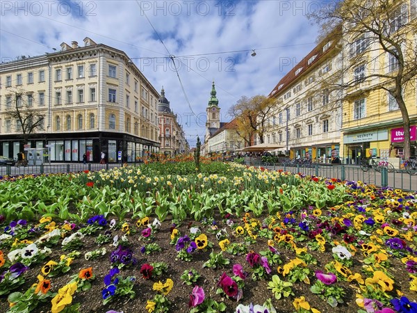 Graz, Austria, 26.03.2023: Colorful spring flowers in Jakominiplatz Square and Parish Church in the background, famous attraction in the city of Graz, Steiermark region, Austria. Selective focus, Europe