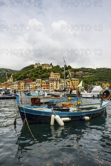 Village with colourful houses and harbour by the sea, Portofino, Province of Genoa, Liguria, Italy, Europe