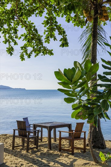 Seat with table and chairs at Maenam beach on Koh Samui, island, palm tree, water travel, holiday, tourism, text field, nobody, empty, sea, ocean, symbol, beach, sand, symbolic, weather, beautiful, lovely, idyllic, idyllic, calm, quiet, tranquility, relaxed, holiday feeling, longing, exotic, seascape, seascape, destination, beach holiday, beach holiday, paradise, holiday paradise, Thailand, Asia