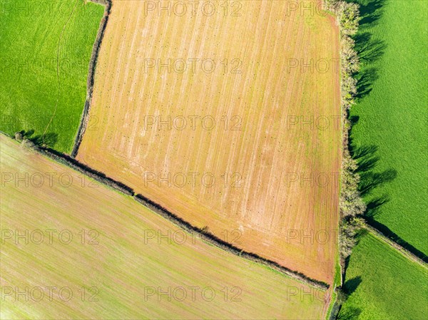 Top Down over Fields and Farms from a drone, Devon, England, United Kingdom, Europe