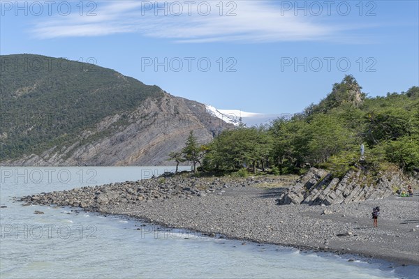 Glacial Lake, Lago Grey, Torres del Paine National Park, Parque Nacional Torres del Paine, Cordillera del Paine, Towers of the Blue Sky, Region de Magallanes y de la Antartica Chilena, Ultima Esperanza Province, UNESCO Biosphere Reserve, Patagonia, End of the World, Chile, South America