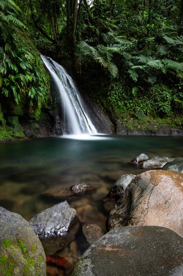 Pure nature, a waterfall with a pool in the forest. The Ecrevisses waterfalls, Cascade aux ecrevisses on Guadeloupe, in the Caribbean. French Antilles, France, Europe