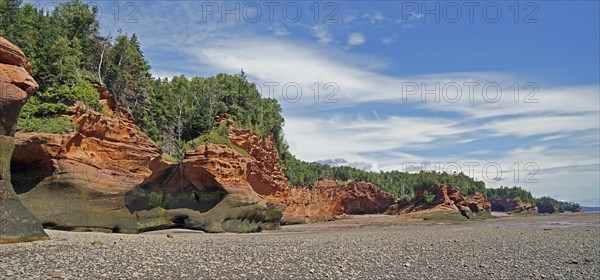 Wooded cliffs, red sandstone, Five Islands Provincial Park, Fundy Bay, Nova Scotia, Canada, North America