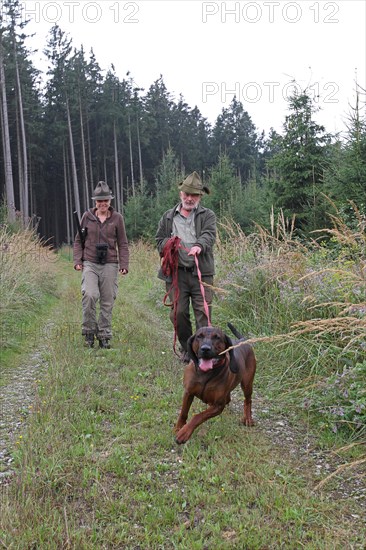 Huntsman and huntress, accompanied by hunting dog Bavarian Mountain Hound, Allgaeu, Bavaria, Germany, Europe