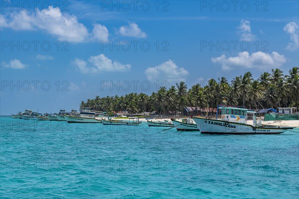 Little boats before a palm fringed white sand beach, Agatti Island, Lakshadweep archipelago, Union territory of India