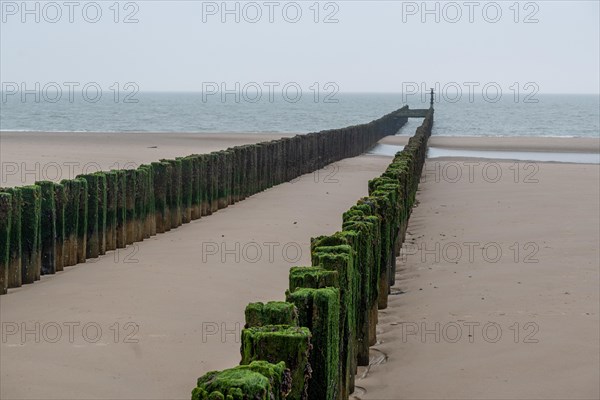 An algae-covered breakwater juts out into the sea