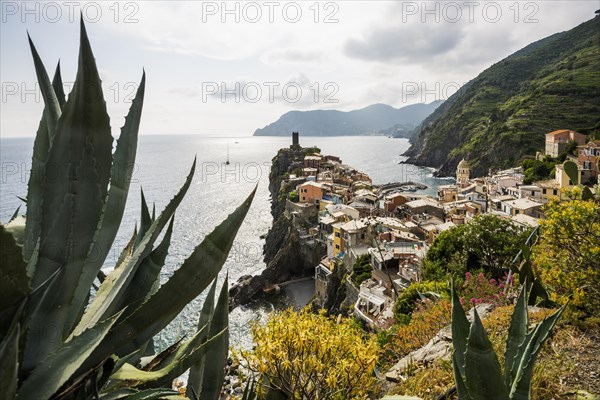 Village with colourful houses by the sea, Vernazza, UNESCO World Heritage Site, Cinque Terre, Riviera di Levante, Province of La Spezia, Liguria, Italy, Europe