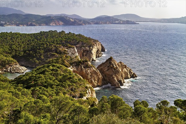 Coastal view showcasing rocky cliffs with lush vegetation and clear skies, Peguera, Mallorca