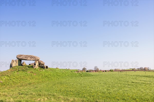 Old Passage grave frome neolithic age on a hill in the countryside, Luttra, Falkoeping, Sweden, Europe