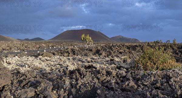 Caldera Colorada, Parque Natural de Los Volcanes, Masdache, Lanzarote, Canary Islands, Spain, Europe