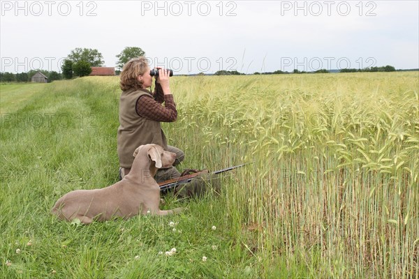Huntress with hunting dog Weimaraner Shorthair looking with binoculars over a cornfield, Allgaeu, Bavaria, Germany, Europe
