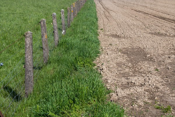 Farmland next to a green meadow separated by a simple fence