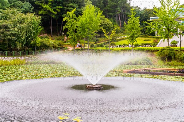 A fountain sprays water high into the air over a tranquil pond, in South Korea