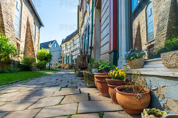 Sunny street with flower pots in front of historic half-timbered houses and clear sky, Old Town, Hattingen, Ennepe-Ruhr district, Ruhr area, North Rhine-Westphalia
