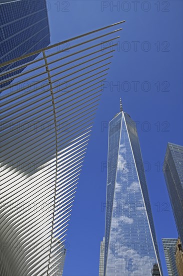Wing of the Oculus Building, World Trade Center Station, Transportation Hub, skyscrapers World Trade Center or Freedom Tower, Ground Zero, Lower Manhattan, New York City, New York, USA, North America