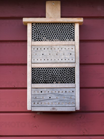 Insect hotel, Lueneburg, Lower Saxony, Germany, Europe