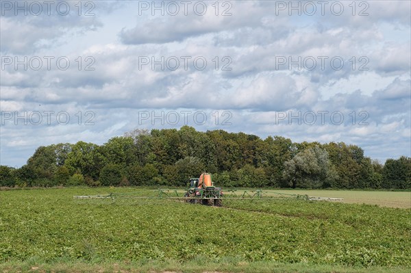 Farmer with tractor working in the field, Lower Rhine, North Rhine-Westphalia, Germany, Europe