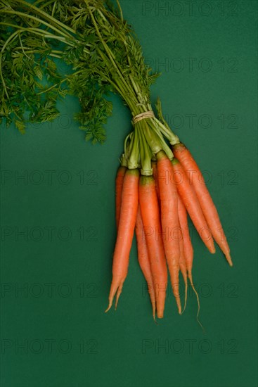 One bunch of carrot (Daucus carota)