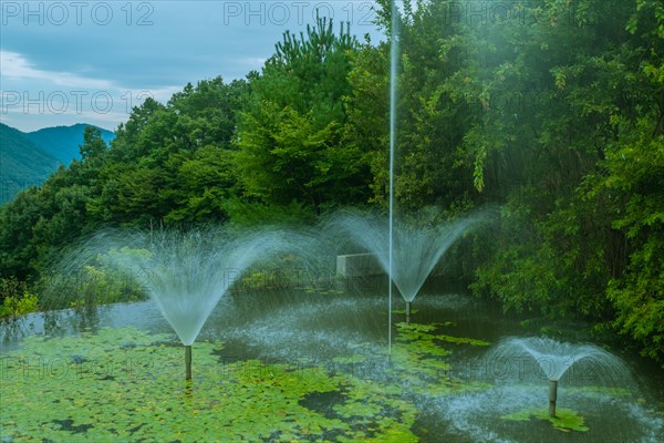 Serene pond with multiple fountains among greenery and water lilies, in South Korea