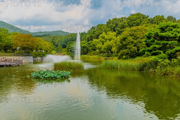 Water fountain in the center of a pond surrounded by lush greenery in a park, in South Korea
