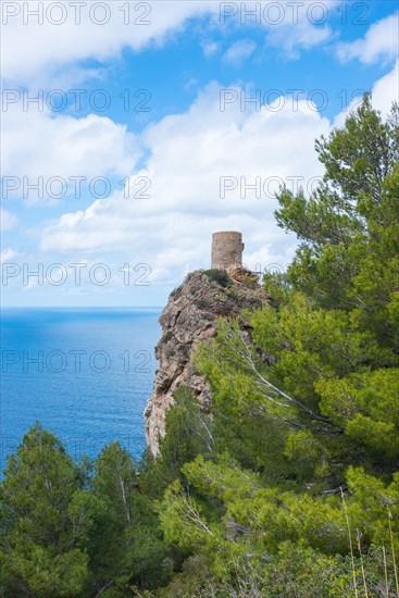 Torre des Verger, also Torre del Verger, Torre de ses Animes, old watchtower, lookout tower on a rock with peaceful sea view, trees in spring, spring, pines (Pinus), calm, wide, blue sea under a blue sky with single, white clouds, distant horizon, Mediterranean Sea on the northwest coast, Banyalbufar, Mediterranean, Serra de Tramuntana, Majorca, Spain, Europe
