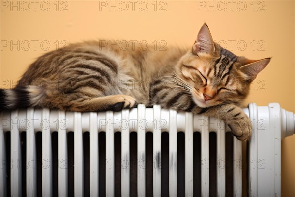 Cat sleeping on heating radiator to keep warm. KI generiert, generiert AI generated
