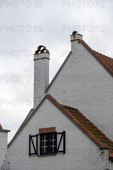 Traditional white house with tiled roof and shutters under a cloudy sky, DeHaan, Flanders, Belgium, Europe