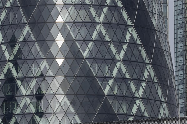 The Gherkin skyscraper building close up of window details with two Herring gull (Larus argentatus) birds flying past, City of London, England, United Kingdom, Europe