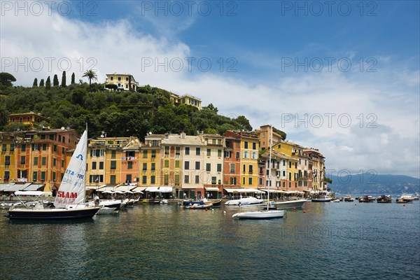 Village with colourful houses and harbour by the sea, Portofino, Province of Genoa, Liguria, Italy, Europe