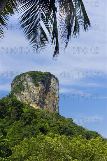 Limestone cliffs at Railay Beach, limestone, limestone cliffs, travel, holiday, tourism, nature, natural landscape, Andaman Sea, climbing cliffs, mountain, rock, rock, bizarre, sun, sunny, tropical, tropical, lagoon, sea, ocean, palm trees, holiday paradise, Siam, paradise, Asian, landscape, Krabi, Thailand, Asia