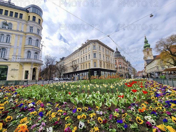 Graz, Austria, 26.03.2023: Colorful spring flowers in Jakominiplatz Square and Parish Church in the background, famous attraction in the city of Graz, Steiermark region, Austria. Selective focus, Europe