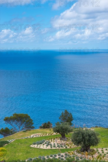 Peaceful sea view with terraced garden, green grass areas, rocky beds and trees in spring, rock garden with grasses, lavender (Lavandula), oleander (Nerium oleander), also rose laurel, calm, wide, blue sea, distant horizon in spring, spring, Mediterranean, Mediterranean on the north-west coast, Majorca, Spain, Europe